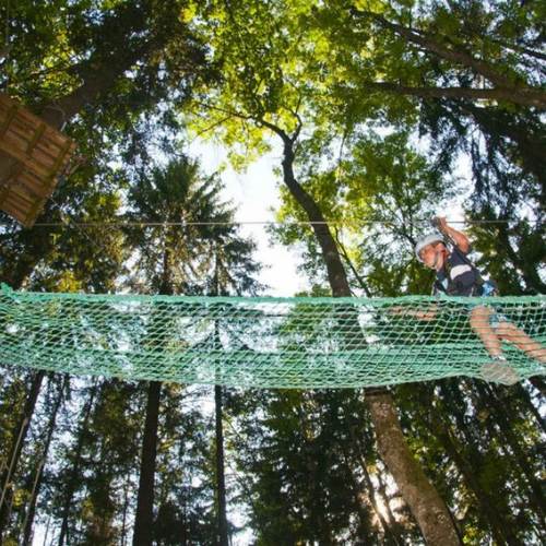 Summer Activities In Morzine -Treetop adventure