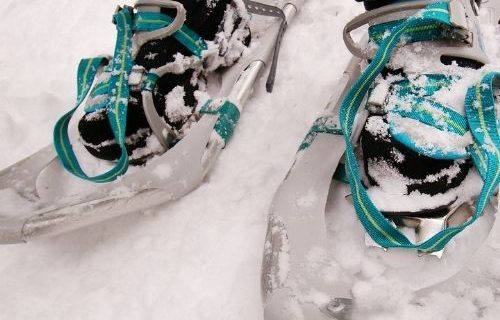 SNowshoes
