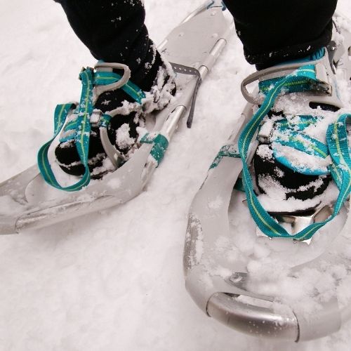 SNowshoes