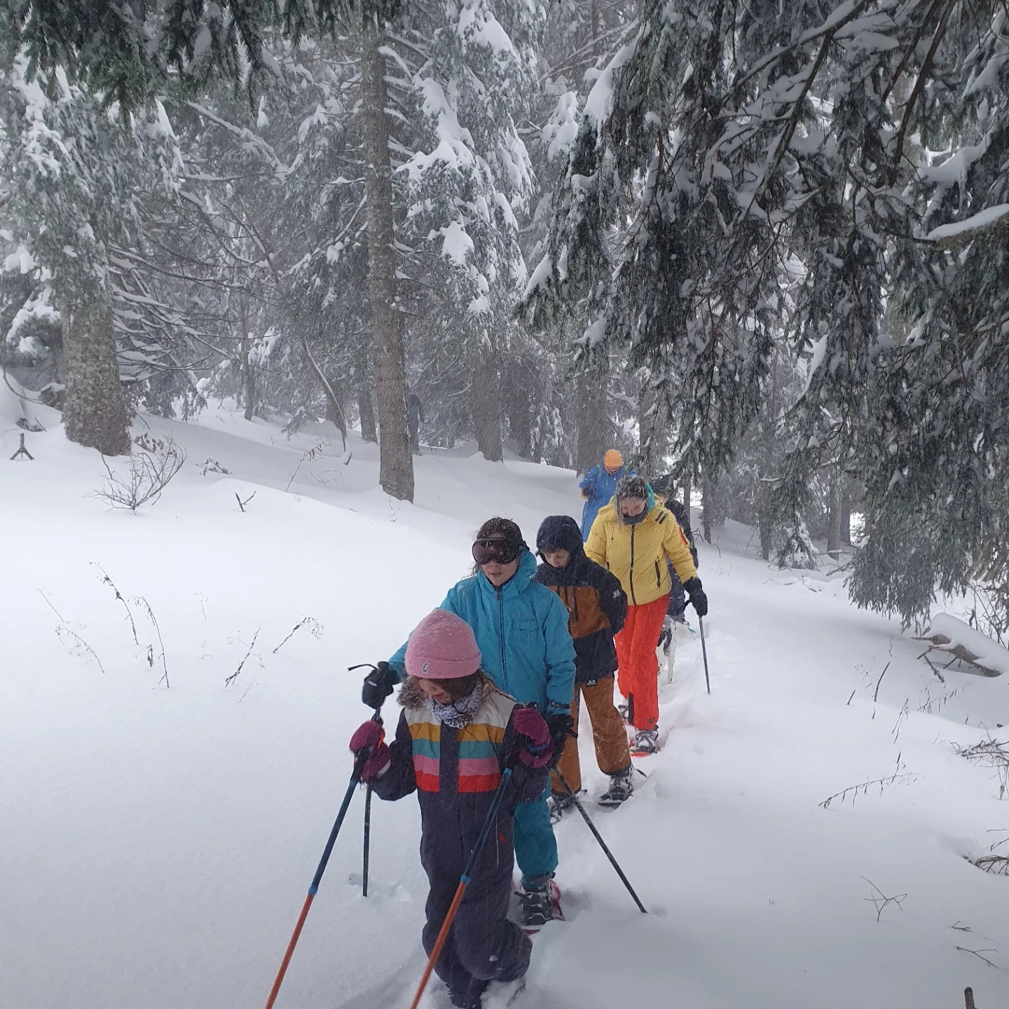 A snowshoe tour